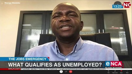 Statistician General explains unemployment statistics