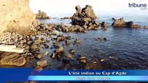 CAP D’AGDE - Survolez la plage de la Conque pendant l’été indien