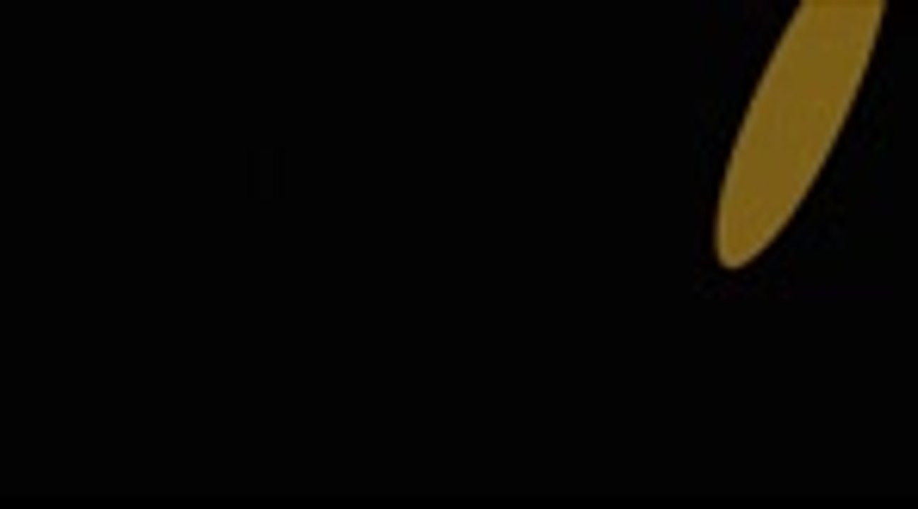 NBA - Les fans de Lakers dans les rues de Los Angeles