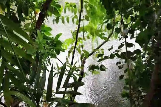 Relaxing Rain sound with thunderstorm sound for sleep II Meditation II Healing sounds II Yoga