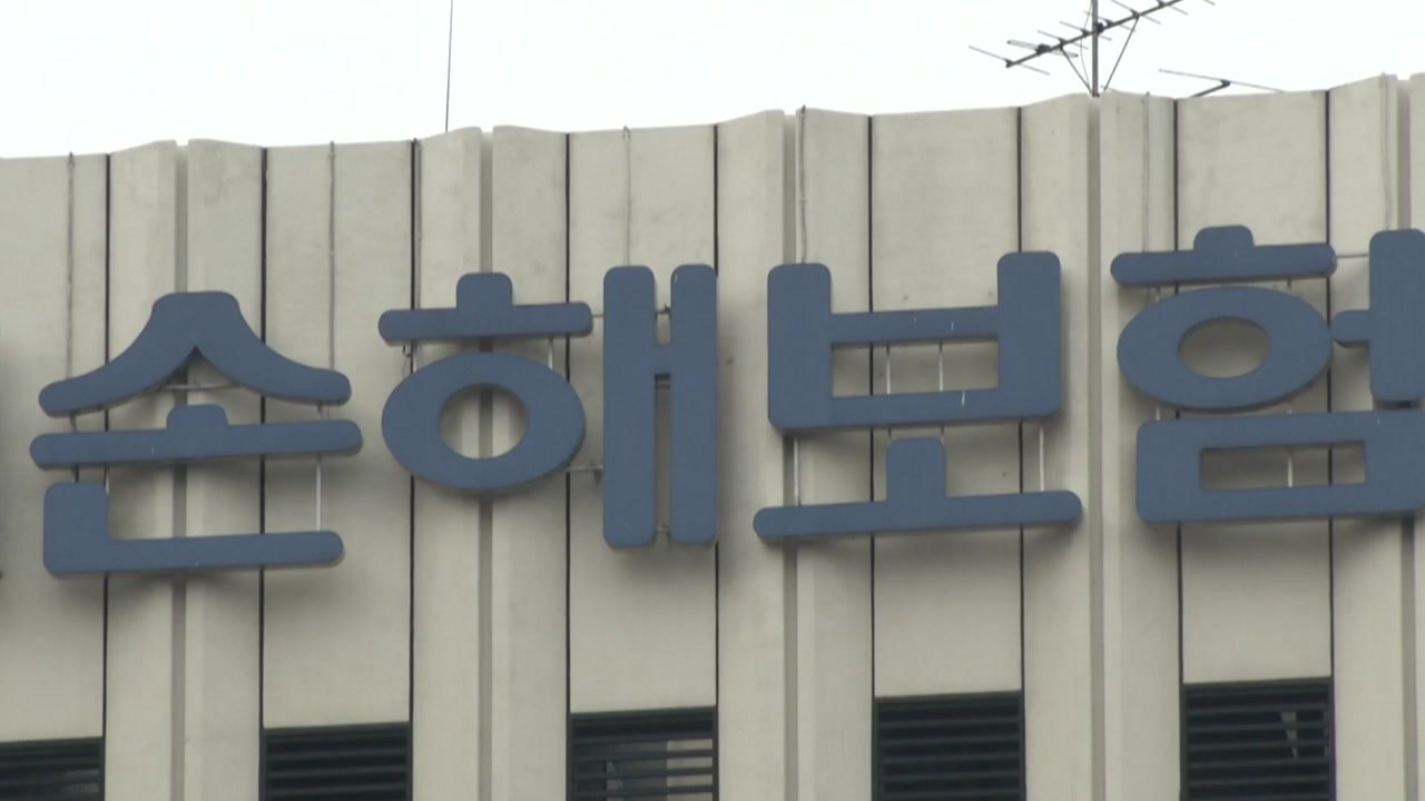 이르면 내년 상반기 실손보험 차등제 도입..."많이 가면 더 낸다" / YTN