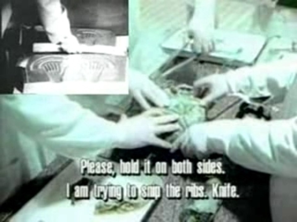 autopsy UFO ALIEN Russia Roswell