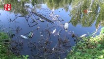 Yüzeyi çöplerle kaplanan Bartın Irmağında balık ölümleri görüldü