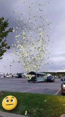 Money Tornado, like if you want to be there :)