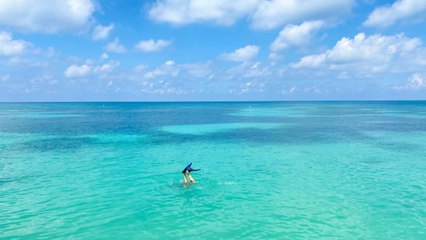 Dry Tortugas National Park Is 99% Underwater — and That's Exactly Why It's a Must-visit