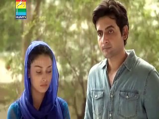 Pakistani Best Drama Serial Zard Mausam Episode 12 On Hum Tv
