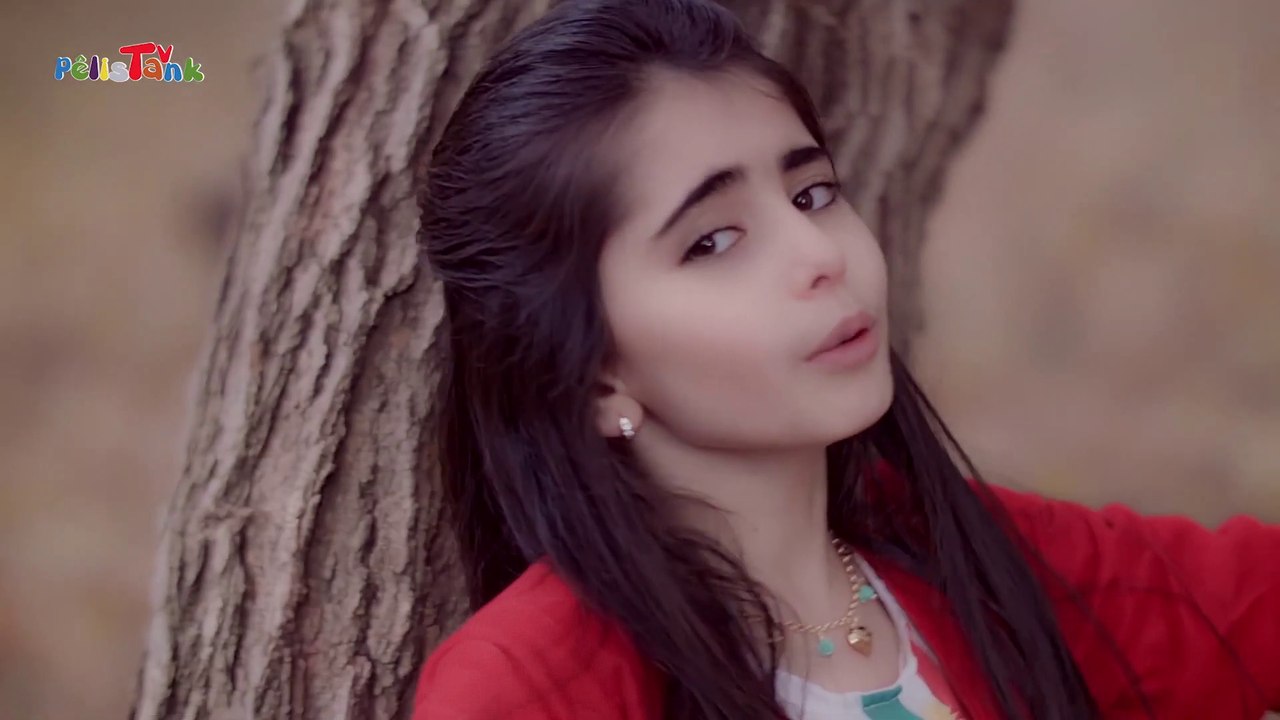 ئاڵاکەم کیژێ هێمن allai kurdistan kizhe hemn 2