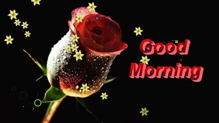 #Romantic Good morning With Red flowers 3D video,Good morning wishes & greeting Whatsapp and dailymotion video