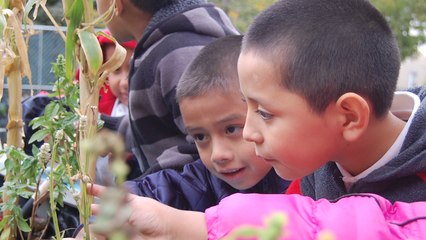 Empowering Young People To Be Problem Solvers For The Planet