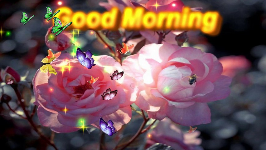 Amazing Good morning Animation video,Good morning wishes video,Good morning greeting  wallpaper video  dailymotion 3D video