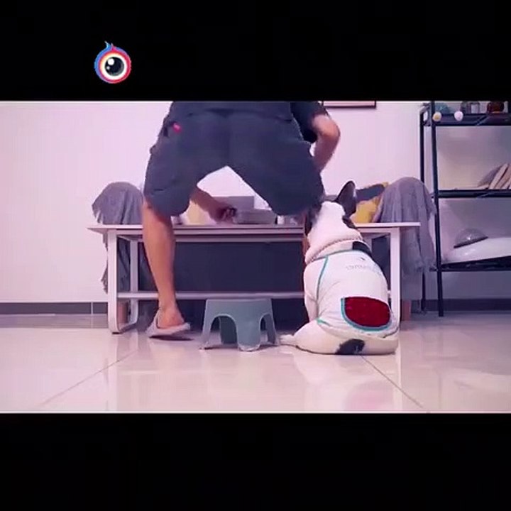 1600871325685479174a043a04534a1cab60360ce7503