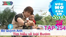 Tìm hiều về loài bướm - Nguyễn Quốc Quỳnh Anh | ƯỚC MƠ CỦA EM | Tập 254