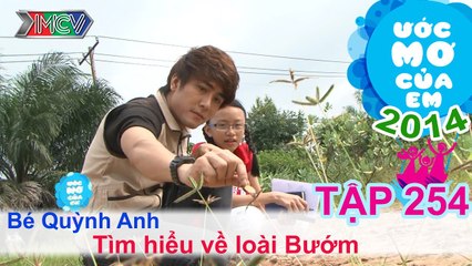 Tìm hiều về loài bướm - Nguyễn Quốc Quỳnh Anh | ƯỚC MƠ CỦA EM | Tập 254