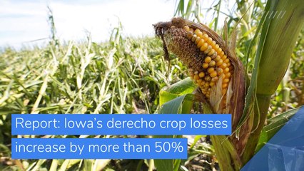 Report: Iowa’s derecho crop losses increase by more than 50%, and other top stories in business from October 13, 2020.