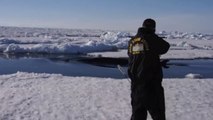 Dramatic raw footage of researchers tagging orcas with cross bows (killer whales) in Antarctica
