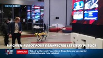 La chronique d'Anthony Morel : Un chien robot pour désinfecter les lieux publics - 13/10