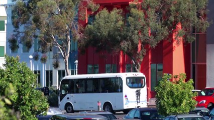 Interdiction de nier ou déformer l'Holocauste, Facebook prend enfin des mesures