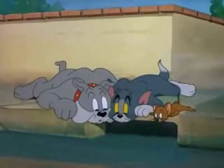 Tom and Jerry: The Truce Hurts