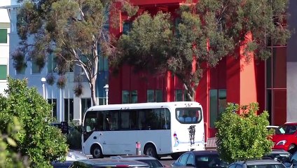 Facebook запретил отрицать Холокост