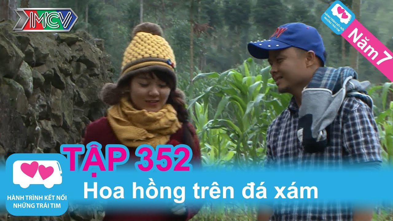 Hoa hồng trên đá xám | LOVEBUS | Năm 7 | Tập 352 | 250815
