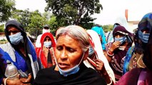 शाजापुर: कलेक्ट्रेट पहुंचे पोलायकला के 70 से अधिक मजदूर