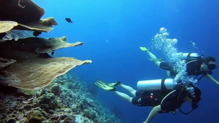 Taapsee Pannu Boat Dive in Maldives Viral Video