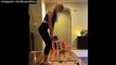 This cat has some serious skills video going viral ll