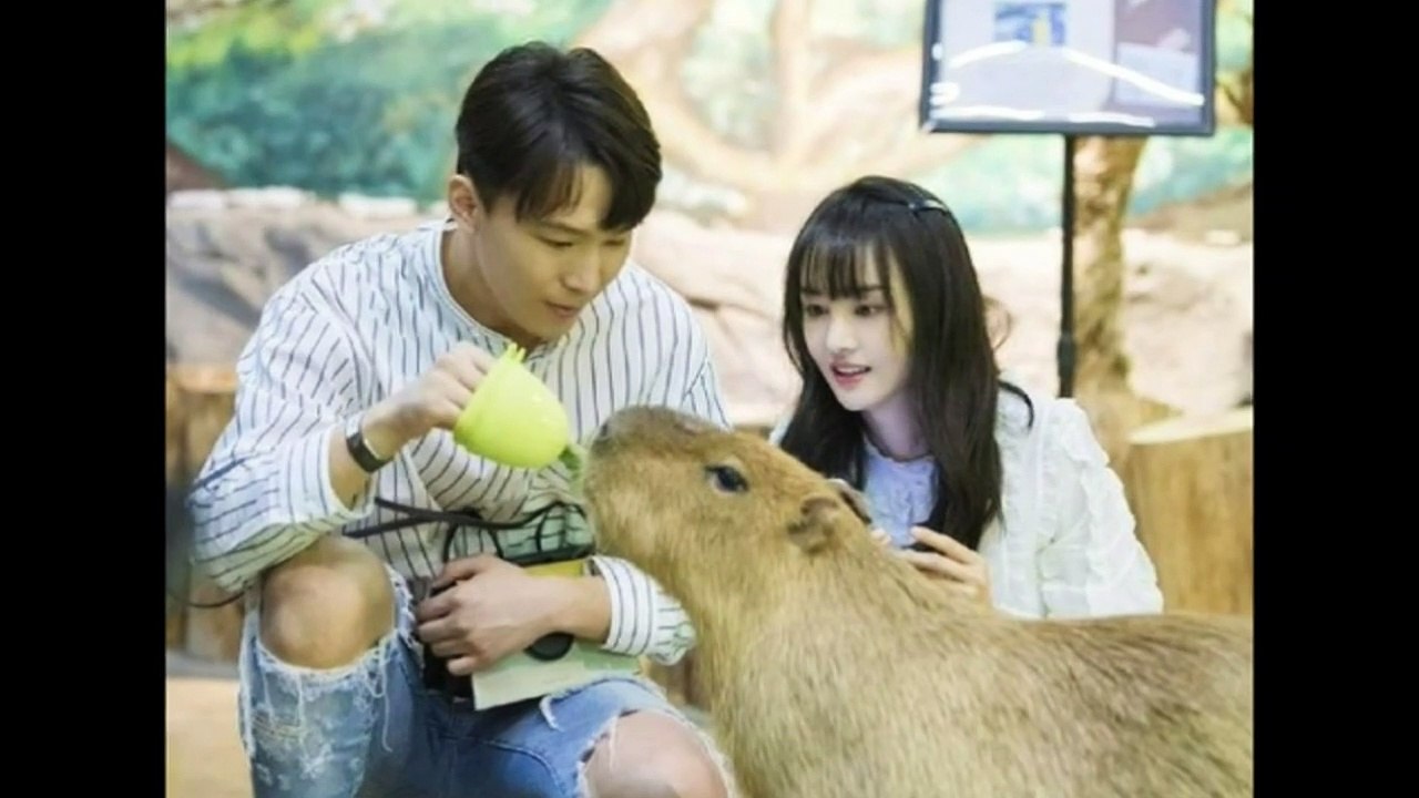 Trịnh Sảng ám chỉ bị bạn trai CEO lừa tiền
