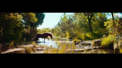 Poly (2019) en ligne HD720p