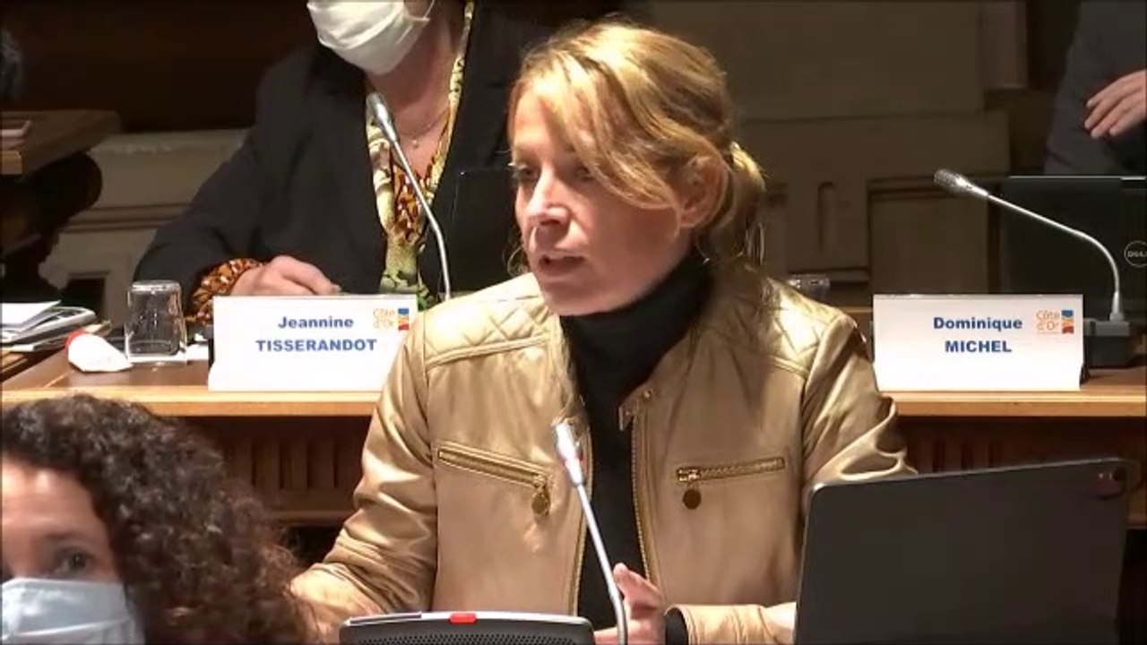 Nathalie KOENDERS. Discussion générale. Session DM2 du 13 octobre 2020