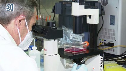 Johnson & Johnson suspende las pruebas de su vacuna por una "enfermedad inexplicable"