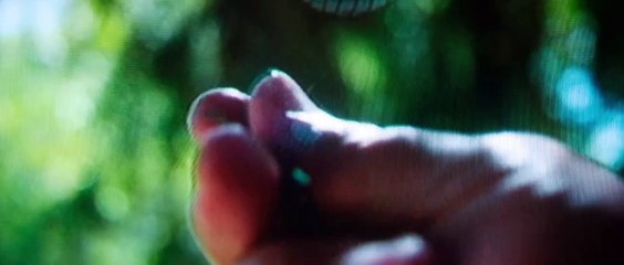 NINE DAYS - Bande-annonce VO