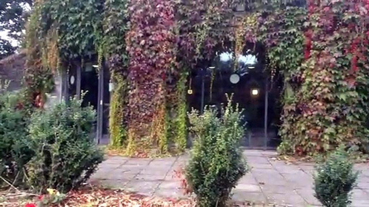 cliffden hotel