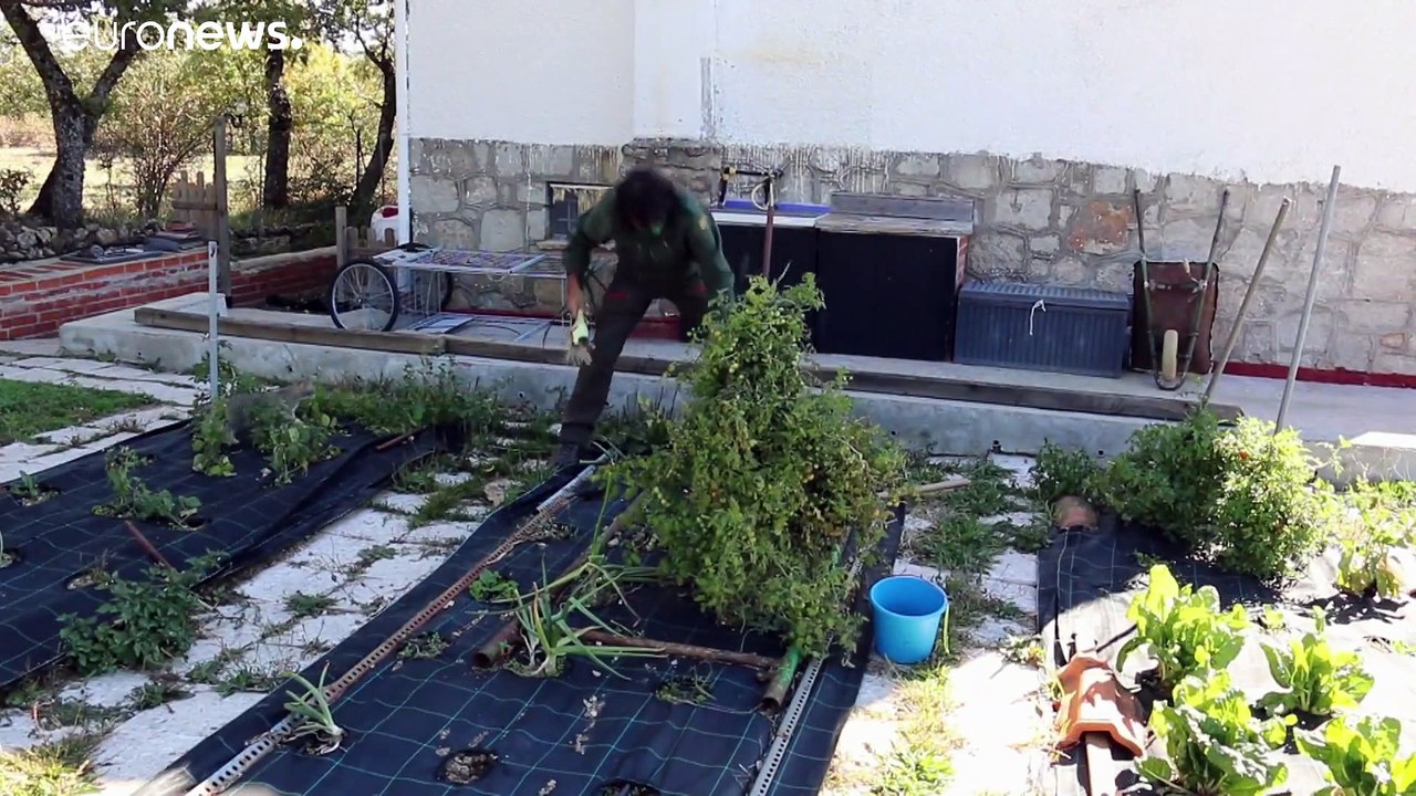 Madrider stürmen Covid-Ruhezonen