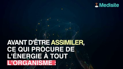 Féculents : les bienfaits pour la santé