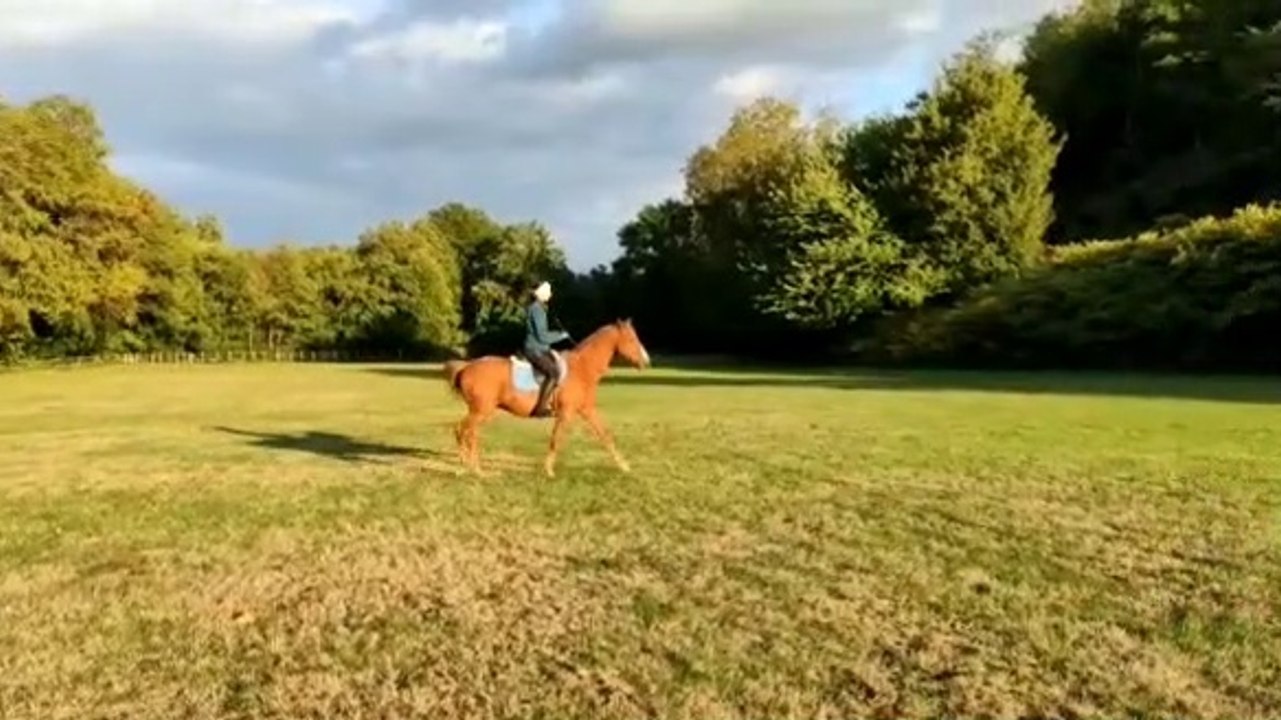 Ody - Petite séance détente en cordelette - 10/10/2020