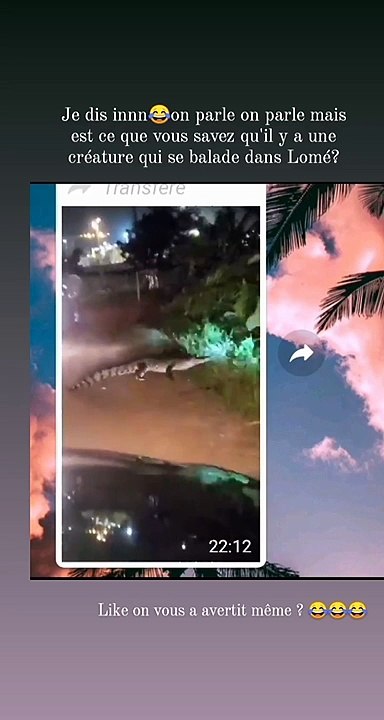 Togo : un crocodile aperçu à Lomé