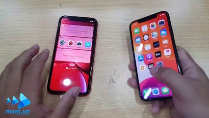 IPhone XR vs IPhone X | Giá ngang nhau Antutu, PUPG, Ảnh và khả năng sử dụng thực tế | msm.vn