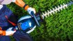 Fargo Tree Experts | #1 Rated Tree Service Company in Fargo, ND