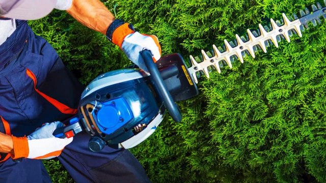 Fargo Tree Experts | #1 Rated Tree Service Company in Fargo, ND