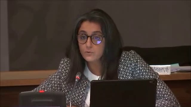 Dénia HAZHAZ. Orientations et dépenses de fonctionnement et d'équipement des collèges. Session du 13 octobre 2020