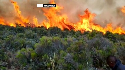 Kampf gegen die Flammen am Kilimandscharo