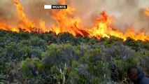 Kampf gegen die Flammen am Kilimandscharo