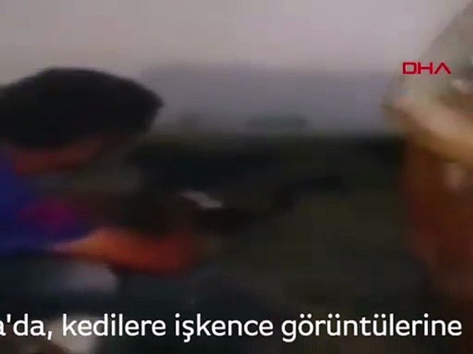Görüntüler sosyal medyayı ayağa kaldırdı! Yakalayın bu adamı