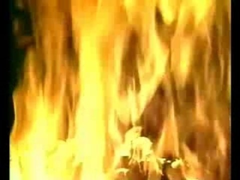 Jacmel (Haïti) Extrait