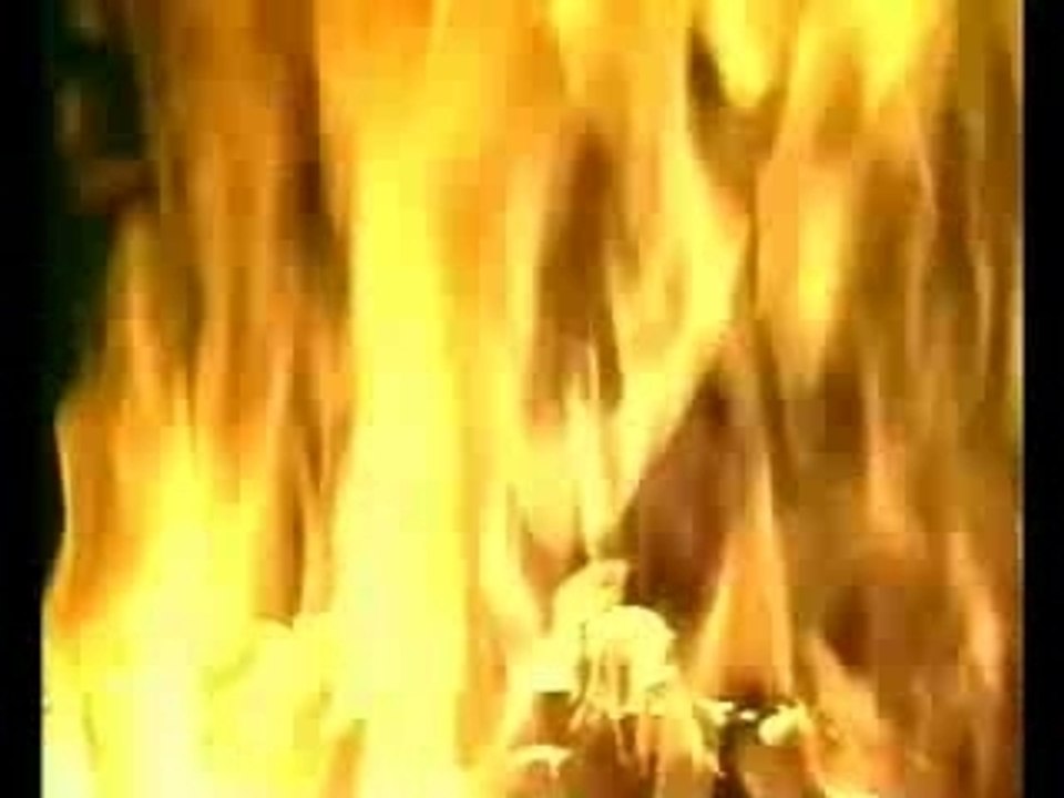 Jacmel (Haïti) Extrait