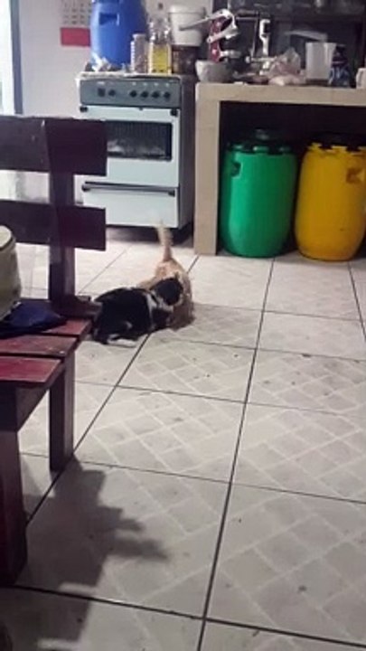 Jugando