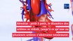 6 signaux que notre corps peut nous envoyer lorsque les artères sont bouchées