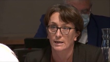 Céline TONOT. DM2 Aménagement numérique et déploiement de la fibre. Session du 13 octobre 2020