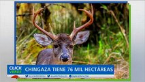 Parque Natural Chingaza incluido en la lista verde de áreas protegidas de la UICN
